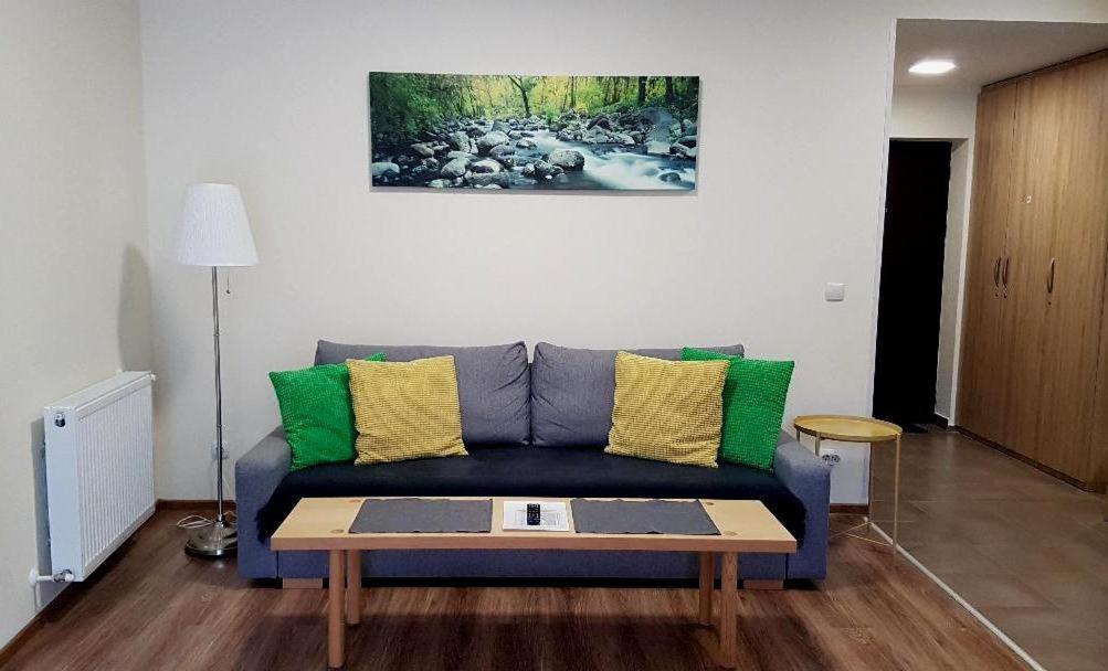 Studio Mountain View Sinaia Exterior foto